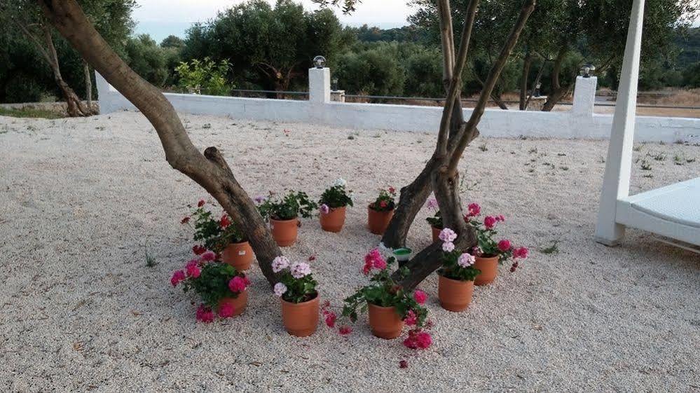 Elaias Gi Residence Mousata Esterno foto